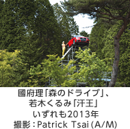 國府理「森のドライブ」、若木くるみ「汗王」いずれも2013年　撮影：Patrick Tsai (A/M)