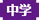 中学